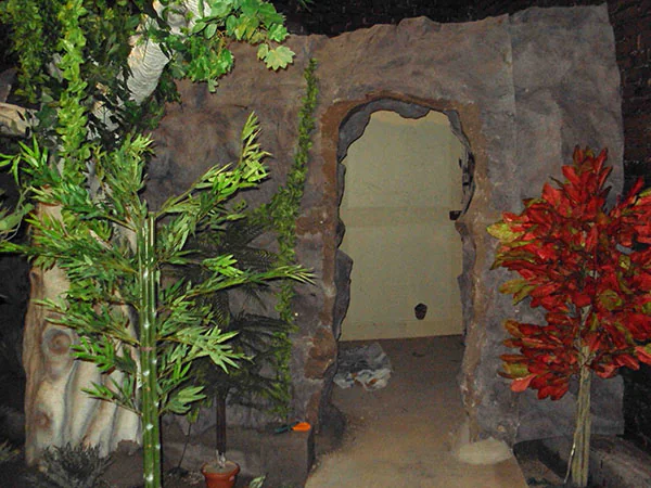 Amusement Park Freaky Jungle Manufacturer in India 4- hurryep technologies