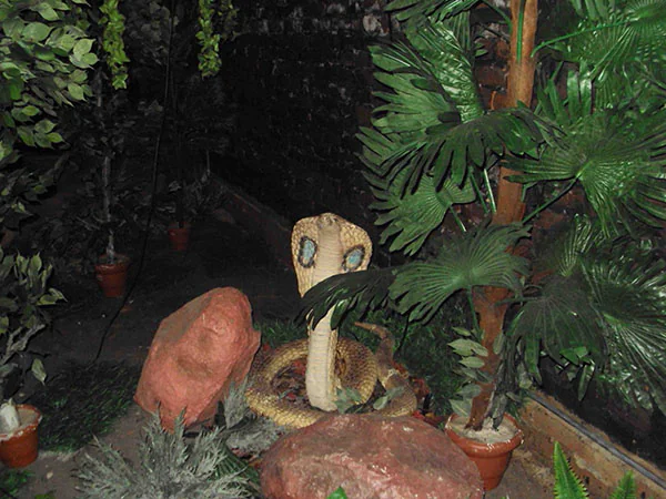 Amusement Park Freaky Jungle Manufacturer in India 5- hurryep technologies