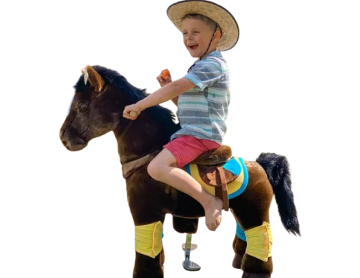 Electric Animal Ride Manufacturer and Sale in India 8- hurryep technologies