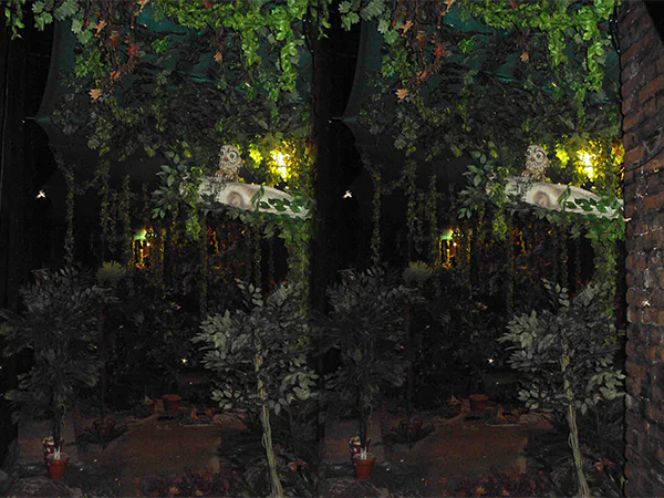 Amusement Park Freaky Jungle Manufacturer in India 7- hurryep technologies