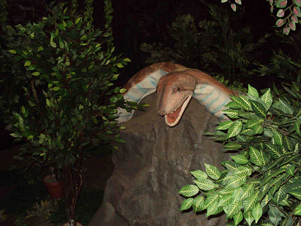 Amusement Park Freaky Jungle Manufacturer in India 9- hurryep technologies