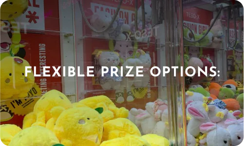 Toy Crane Machine Manufacturer in India 6- hurryep technologies