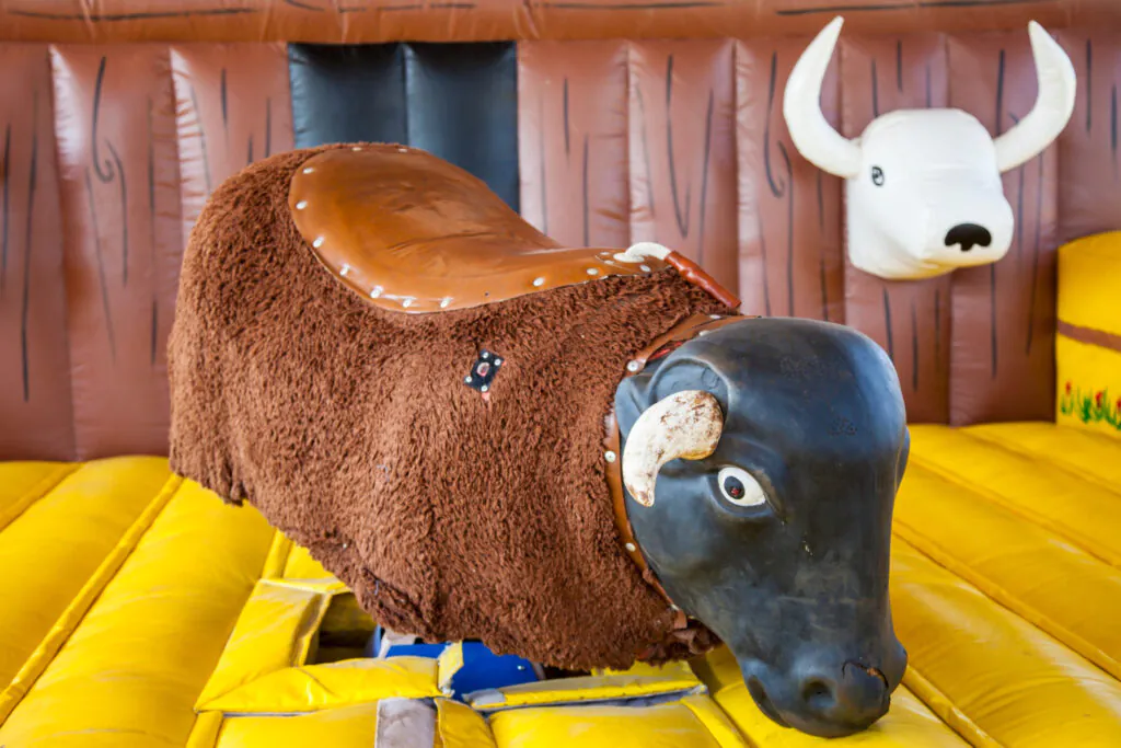 Bull Ride Manufacturer and Supplier in India​ 2- hurryep technologies